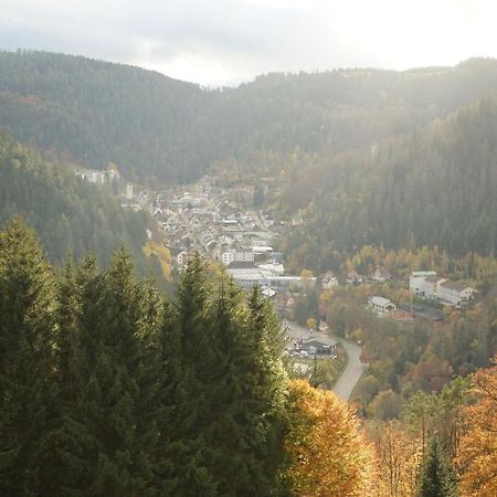 Appartamento Feissesberghof Triberg im Schwarzwald Esterno foto