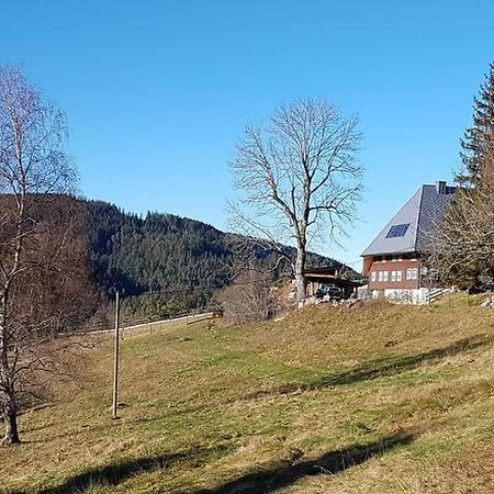 Appartamento Feissesberghof Triberg im Schwarzwald Esterno foto