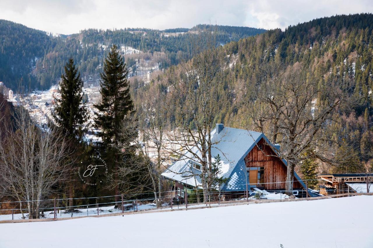 Appartamento Feissesberghof Triberg im Schwarzwald Esterno foto