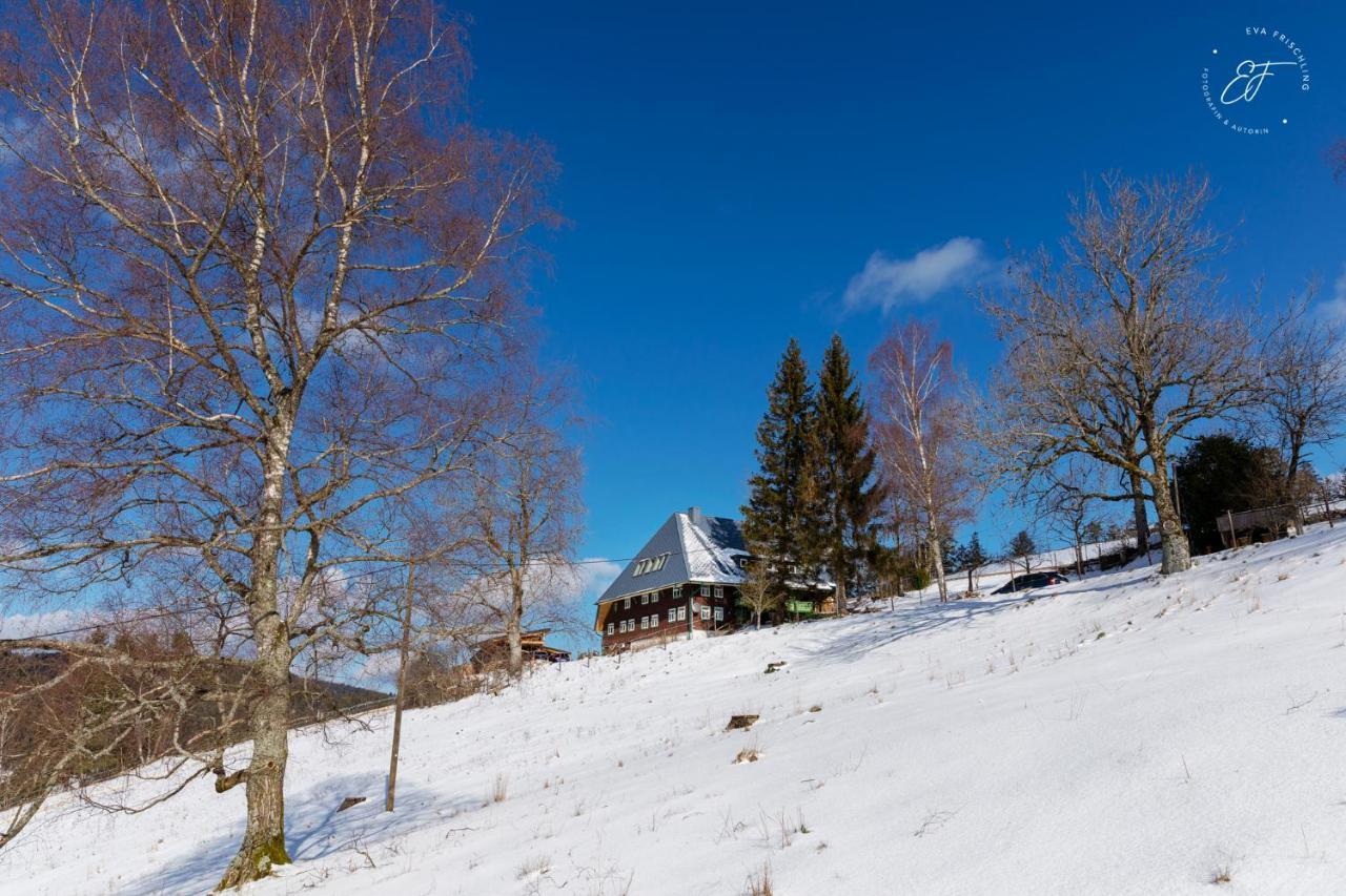 Appartamento Feissesberghof Triberg im Schwarzwald Esterno foto