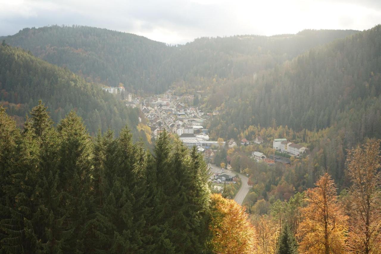 Appartamento Feissesberghof Triberg im Schwarzwald Esterno foto