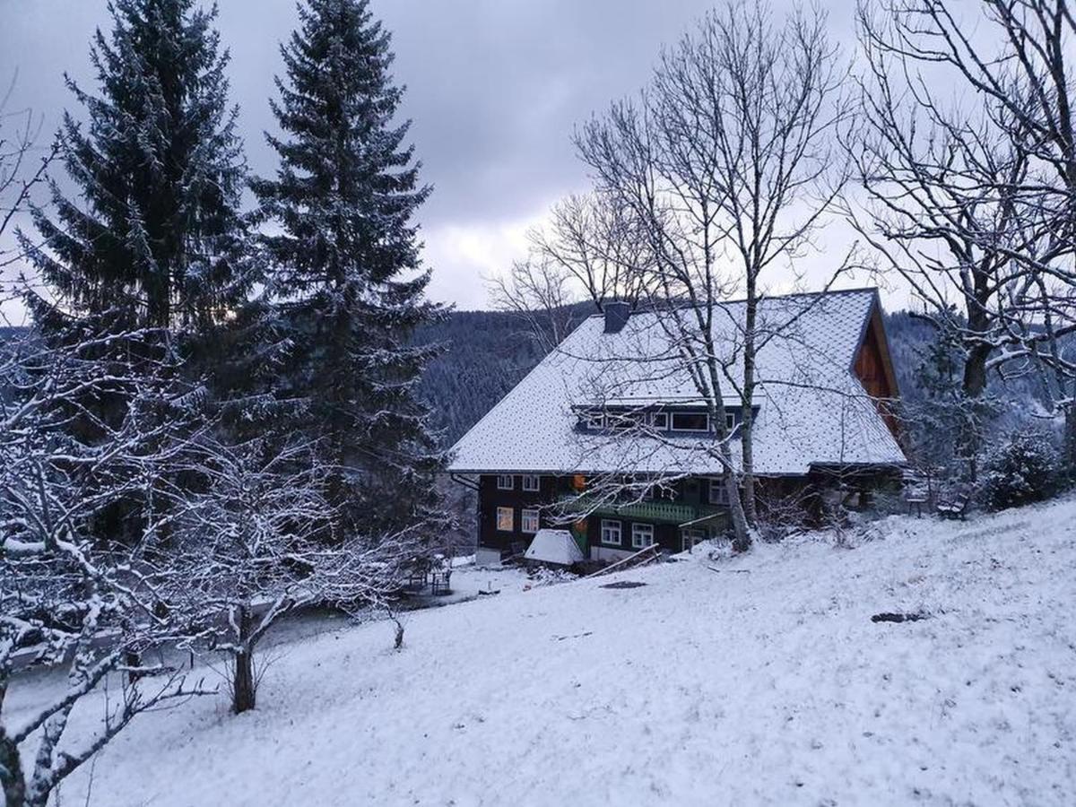 Appartamento Feissesberghof Triberg im Schwarzwald Esterno foto